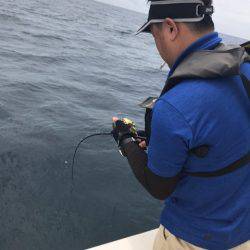 Monster Rush! 釣果