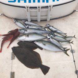 Monster Rush! 釣果