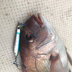 Monster Rush! 釣果