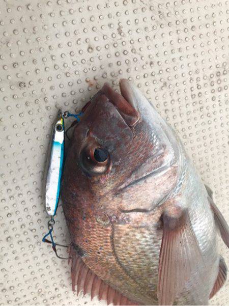 Monster Rush! 釣果