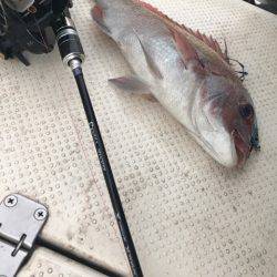 Monster Rush! 釣果