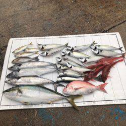 Monster Rush! 釣果