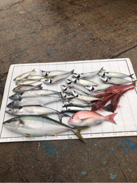 Monster Rush! 釣果