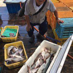 釣り堀水宝 釣果