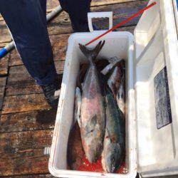 釣り堀水宝 釣果