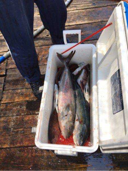 釣り堀水宝 釣果