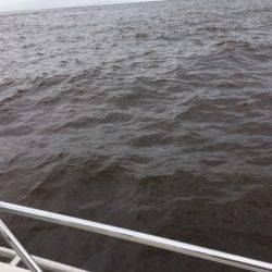 末広丸(熊本) 釣果