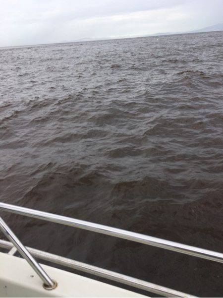 末広丸(熊本) 釣果