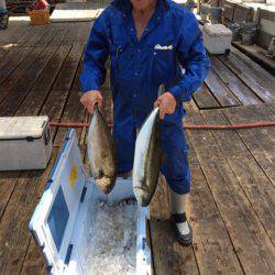 釣り堀水宝 釣果