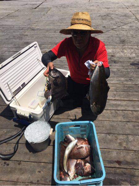 釣り堀水宝 釣果