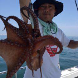 ビッグファイター 釣果