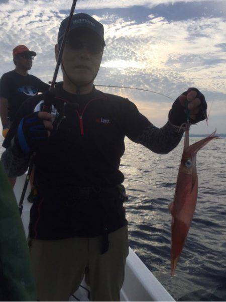 「LaGooN」蒼陽丸 日和号 釣果