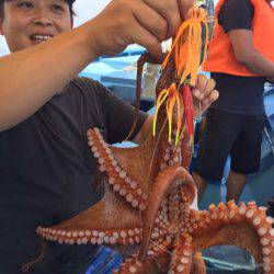 ヤザワ渡船 釣果