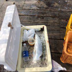 釣り堀水宝 釣果