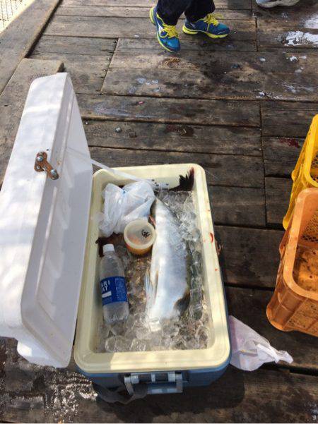 釣り堀水宝 釣果