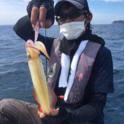 「LaGooN」蒼陽丸 日和号 釣果