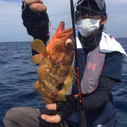 「LaGooN」蒼陽丸 日和号 釣果