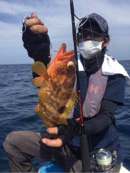 「LaGooN」蒼陽丸 日和号 釣果
