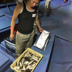 ヤザワ渡船 釣果