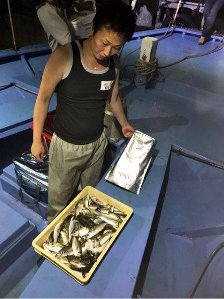 ヤザワ渡船 釣果