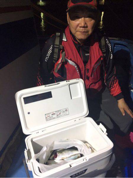 ヤザワ渡船 釣果