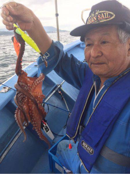 ヤザワ渡船 釣果