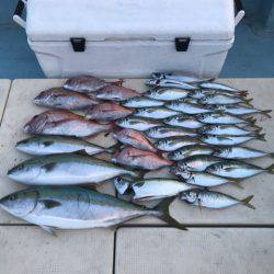 Monster Rush! 釣果