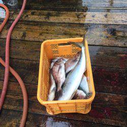 釣り堀水宝 釣果