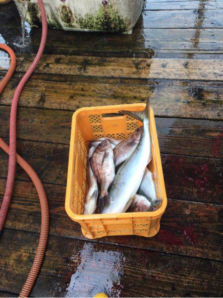 釣り堀水宝 釣果