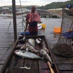 釣り堀水宝 釣果