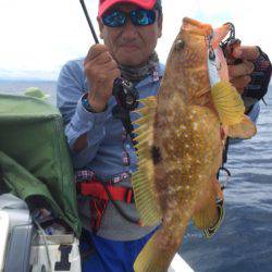 「LaGooN」蒼陽丸 日和号 釣果