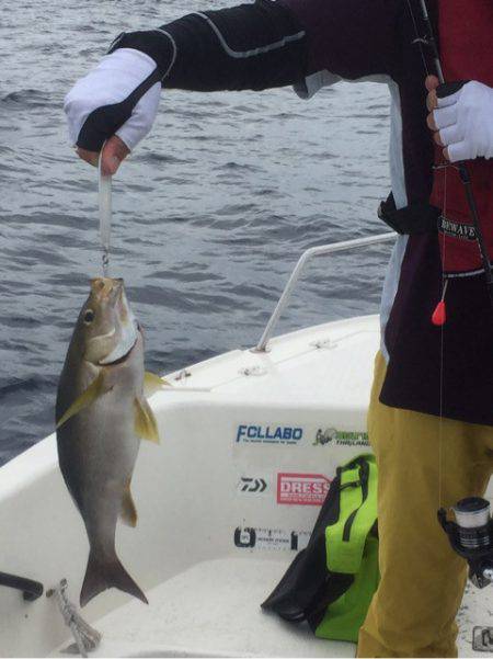 「LaGooN」蒼陽丸 日和号 釣果