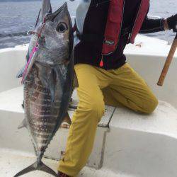 「LaGooN」蒼陽丸 日和号 釣果