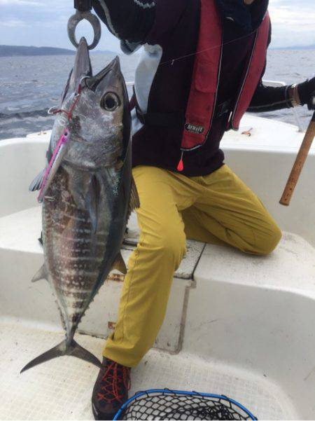 「LaGooN」蒼陽丸 日和号 釣果