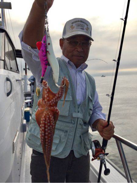 ビッグファイター 釣果