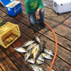 釣り堀水宝 釣果
