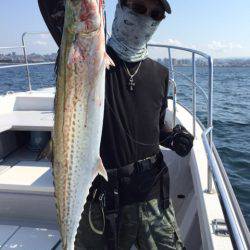 ビッグファイター 釣果