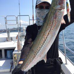 ビッグファイター 釣果