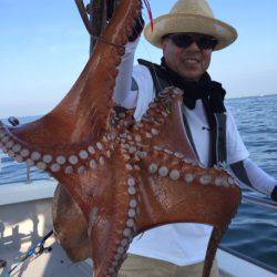 ビッグファイター 釣果