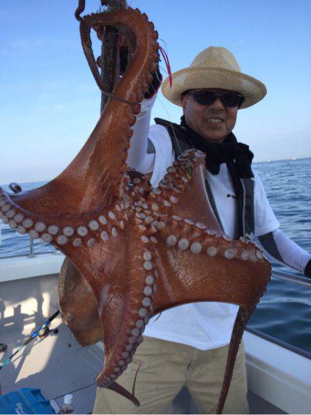 ビッグファイター 釣果