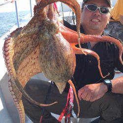 ビッグファイター 釣果