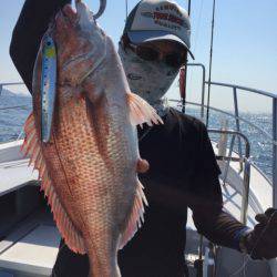 ビッグファイター 釣果