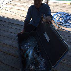 釣り堀水宝 釣果