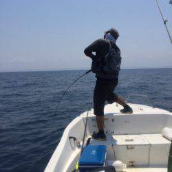 「LaGooN」蒼陽丸 日和号　 釣果