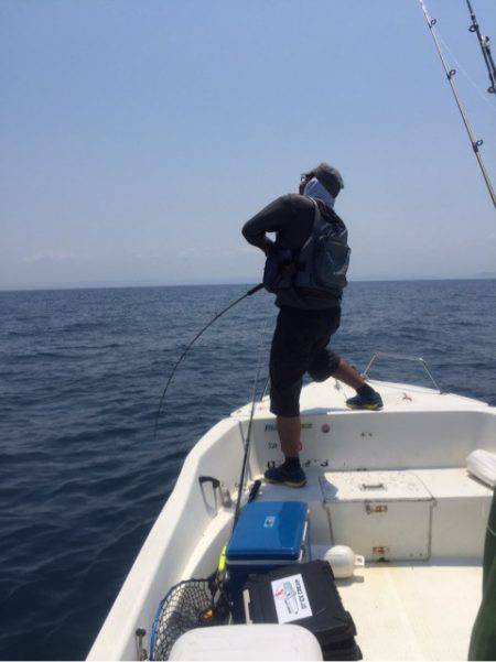 「LaGooN」蒼陽丸 日和号　 釣果