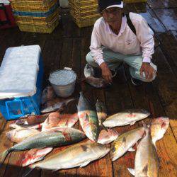 釣り堀水宝 釣果