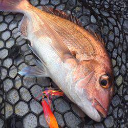 第二 海洋丸 釣果