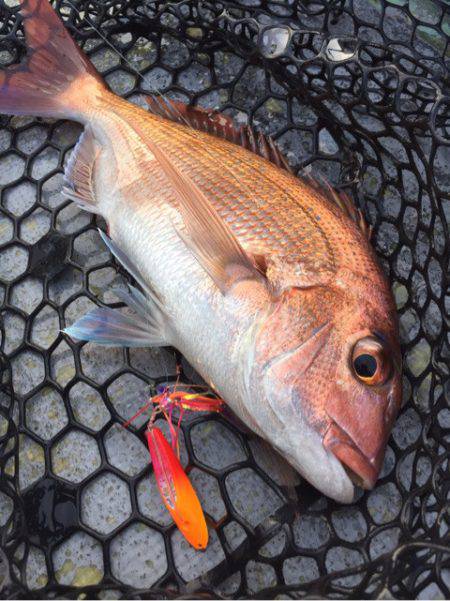 第二 海洋丸 釣果