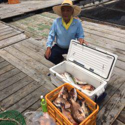 釣り堀水宝 釣果