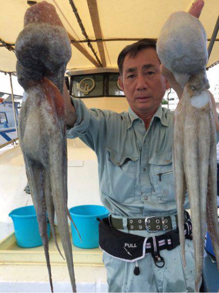 ヤザワ渡船 釣果